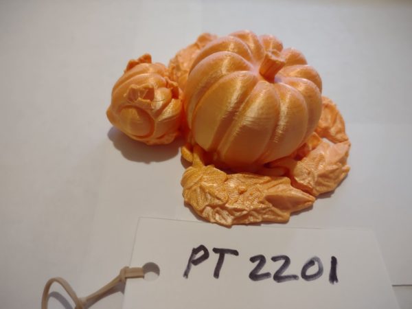 PUMPKIN TURTLE PT2201 - Image 3